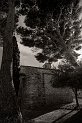 IMGP1903 bw